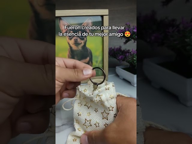 Vídeo relacionado con Skylety 12 Piezas Llaveros de Perro en Mini Regalos de Fiesta con Temática de Cachorros Peluche de Perros para Premios Carnaval, Cumpleaños, Fiesta, 4,8 Pulgadas
