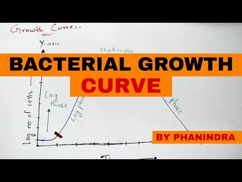 STRUCTURE OF BACTERIA BY PHANINDRA GUPTHA