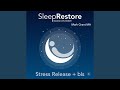 Sleep Restore Based on EMDR: Stress Release + Bls