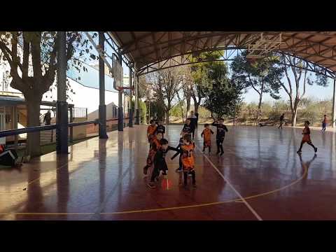 Partidos de baloncesto niños | UPB Gandia - CB Algemesi Prebenjamin Fase 2