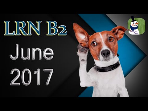 LRN B2 2017 June 🎵 Listening with answers