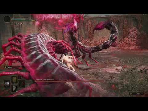 Using the insane post-it strat | Romina RL1 +0 NG+7⁺ no fragments no hit