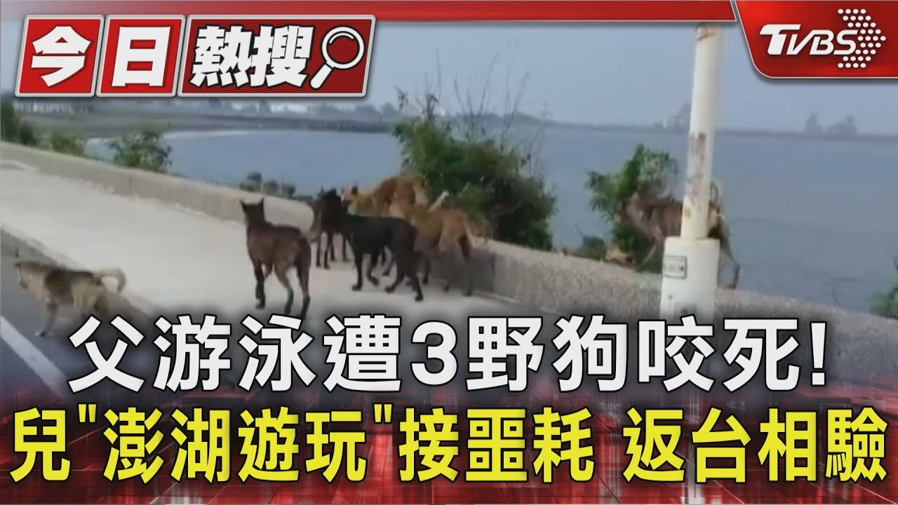父游泳遭3野狗咬死!兒「澎湖遊玩」接噩耗 返台相驗