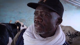 Thumbnail: Microfinance in Mali: Opportunities for farmers and cooperatives
