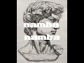 Namba namba (slow jam from tiktok)