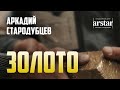 Аркадий Стародубцев «Золото (клип)»