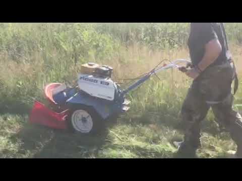 Heuernte in Sibirien Heuernte in Sibirien