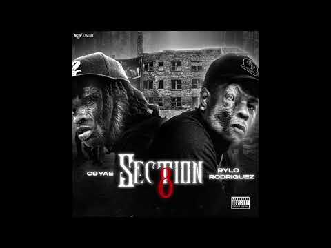 Rylo Rodriguez x C9 Yae - Section 8 (Official Visualizer)
