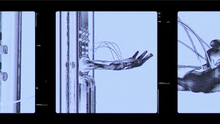 Human Love - Lemon Dove (Official Visualizer)