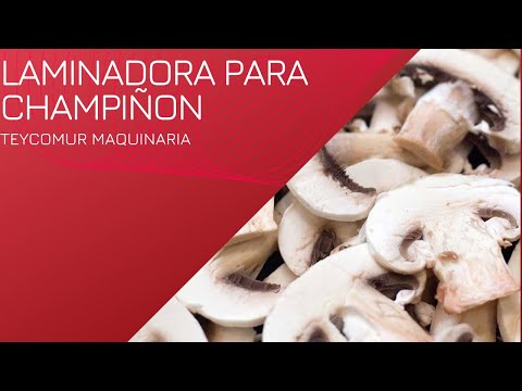 Laminadora para champiñon