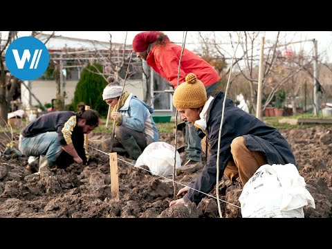 Peloponnes - Die Pioniere des Waldgartens (ARTE 360° Reportage)
