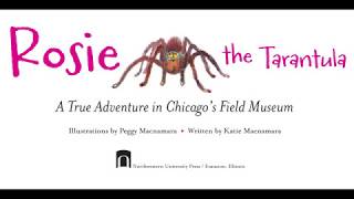 Rosie the Tarantula