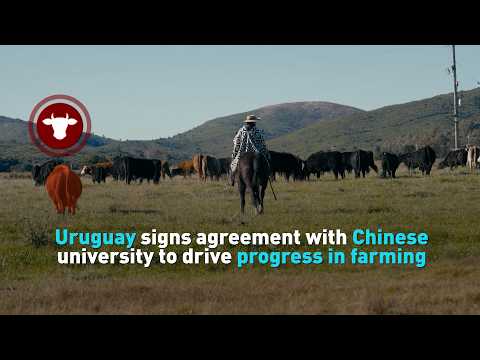 Uruguay signs agreement with Chinese university to drive progress in farming