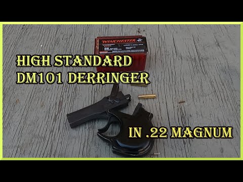 The High Standard DM101 Derringer in .22 Magnum