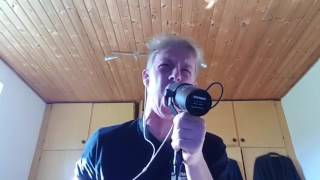 Amon Amarth The Hero Vocal Cover