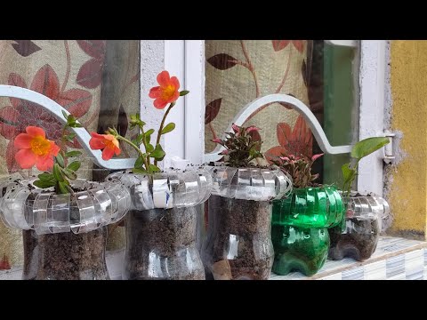 Awesome idea / how to make a beautiful  flowerpot by recycling plastic bottle