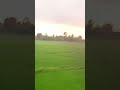Vegam Vegam Pogum Magic Journey ️