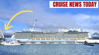 Cruise Ship Arrives in Alaska With Dead Whale on Bow
