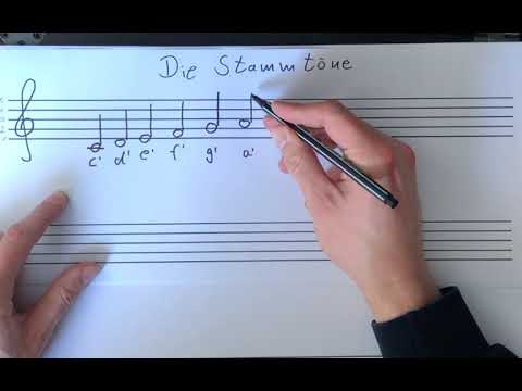 Stammtöne