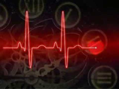 Siga-me video