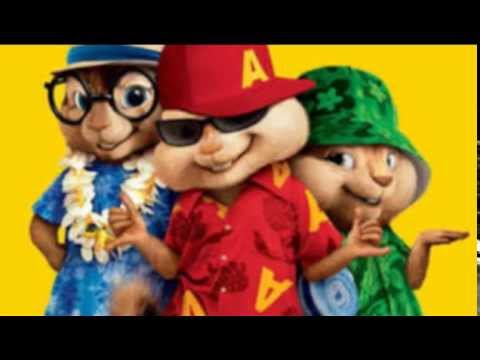 Kabát-Brousíme nože Chipmunkové