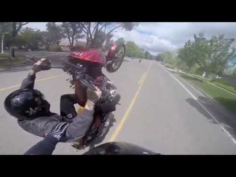 Harley Wheelies 13 - UNKNOWN Industries