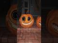 Concurso de calabazas #halloween #calabazas #terror