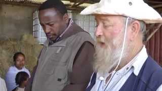 preview picture of video 'Una pecora per una famiglia povera del Dawro (Etiopia)'