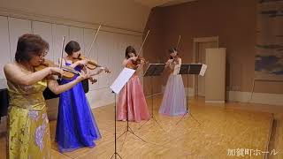 テレマン「４本のヴァイオリンのための協奏曲(TWV40:201)」（ストレプトカーパス コンサートより)