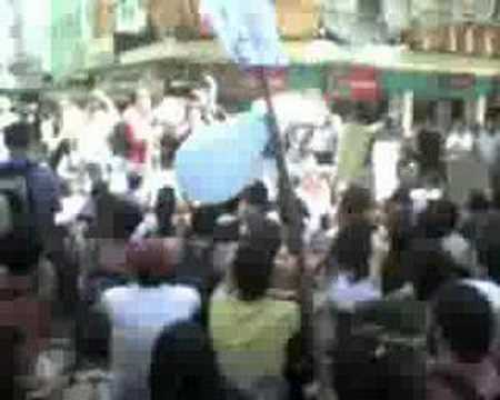 PARADA DOS BIXOS - UFRGS/2008