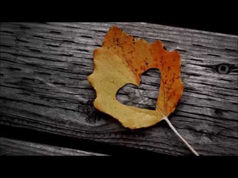 Worry C - Herz aus Eis [Ced feat. Kiibeats]HD ♥♥