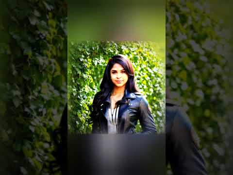 TAIGER X Morito pks envidiosos