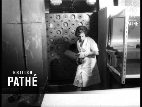 Atomic Energy Establishment Exhibition (1960)