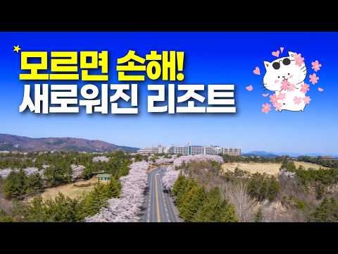 경주 켄싱턴 리조트: 가성비 최고의 선택, 이렇게 누리세요!