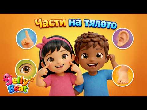 Учим нови думички - Части на тялото | JellyBeat Bulgarian 👀
