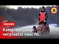 Unieke beelden van huskies in de sneeuw | Omroep Brabant
