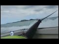CAUGHT ON VIDEO: Fisherman walks away after leg impaled by marlin