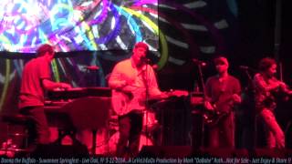 Donna the Buffalo - Suwannee Springfest -  Live Oak, Fl  3- 22- 2014