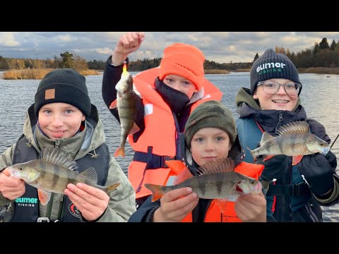 TUULI TOI AHVENET RANNOILLE - SYYSAHVENTA PYYTÄMÄSSÄ RUOKAPÖYTÄÄN | AHVENEN KALASTUS | KALAKINGI