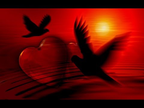 Le Coeur est un Oiseau