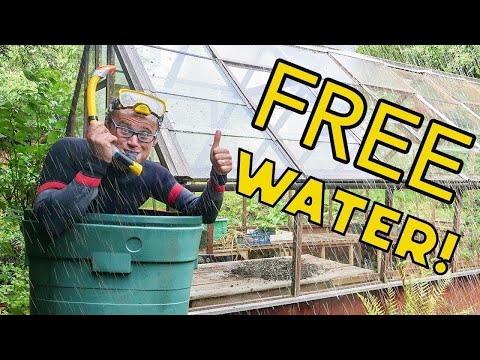 Best Ways to Collect Rainwater