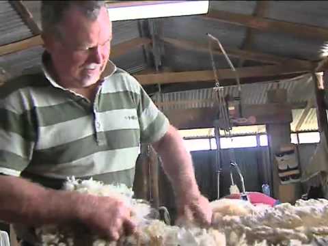 Wool Boom