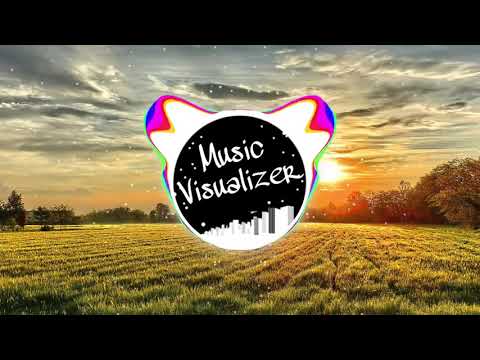 Alan Walker, K-391, & Boy In Space - Paradise (Pakx Remix)