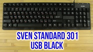SVEN Standard 301 USB - відео 1
