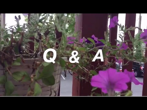 Q & A | JaY16