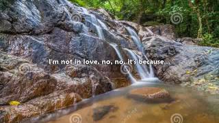 I&#39;m Not In Love + Dennis Englewood + Lyrics/HD