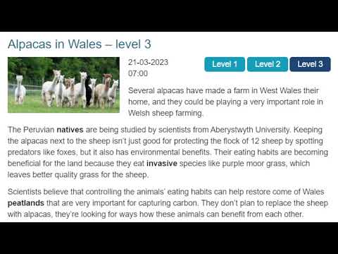 , title : 'NEWS IN LEVELS - ALPACAS IN WALES - HỌC TIẾNG ANH - LEARN ENGLISH'