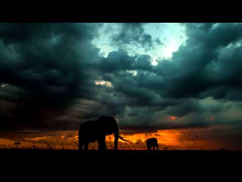 African Drums djembe, dunumba, instrumental 10 hours