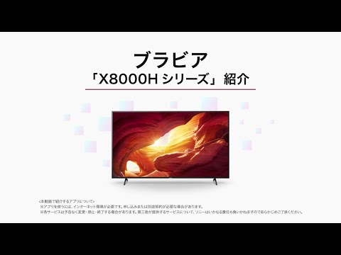 SONY 4K液晶テレビ BRAVIA X8000H KJ-65X8000H