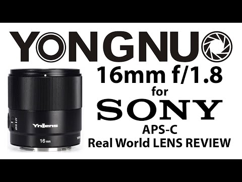 Video thumbnail for Video Review 2